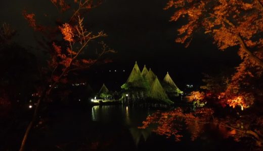 【金沢 兼六園 夜観光】ライトアップを無料で楽しむ！11月は普段入場できない時間帯