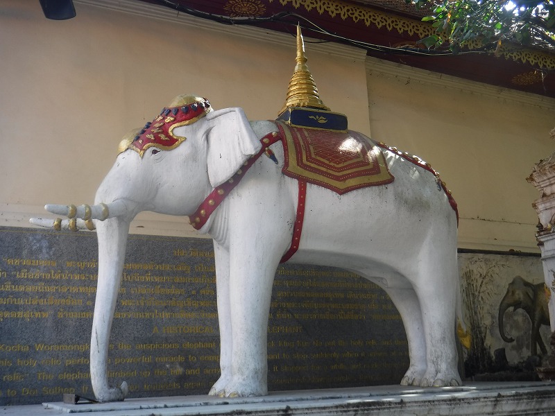 タイ チェンマイ観光_ドイステープ寺院日本語ガイド付きツアー_白象のモチーフ