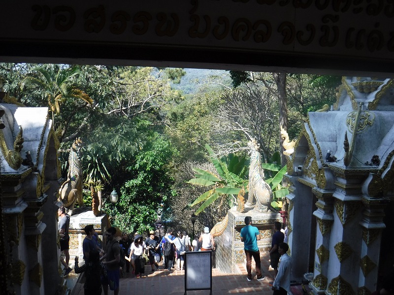 タイ チェンマイ観光_ドイステープ寺院日本語ガイド付きツアー_寺院から帰る帰路の下り階段の風景1