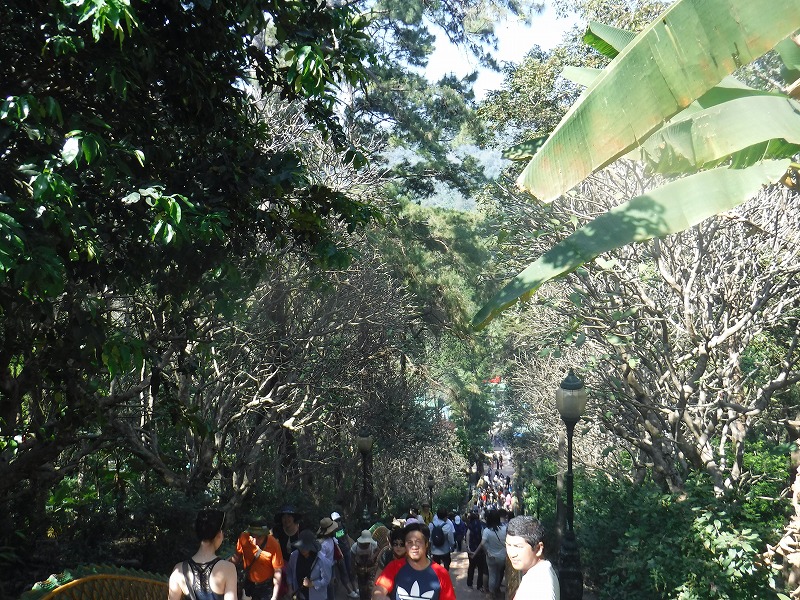 タイ チェンマイ観光_ドイステープ寺院日本語ガイド付きツアー_寺院から帰る帰路の下り階段の風景2