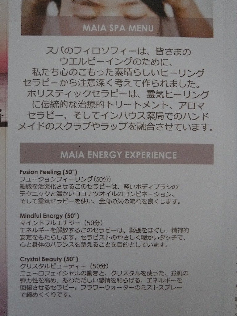 フュージョンマイアダナンスパメニュー日本語Ver.MAIA ENERGYEXPERIENCE