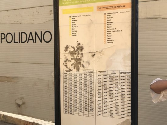 マルタ島ウエスティンドラゴラーナリゾートホテル_ホテル前のバス停時刻表