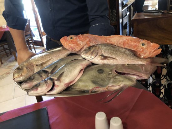 セントジュリアン地区のディナーレストラン_ペペロンチーノPeperoncino_本日のフレッシュお魚の説明