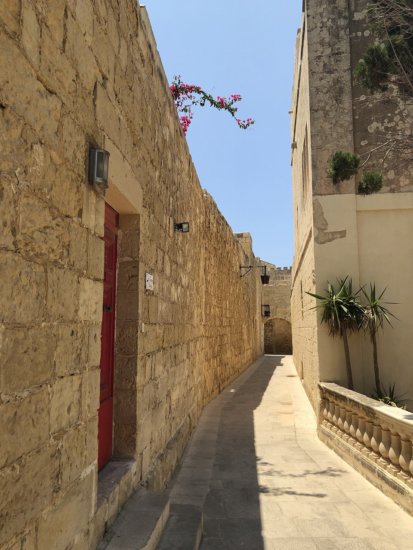 マルタ島の古都イムディーナ_赤い扉とお花