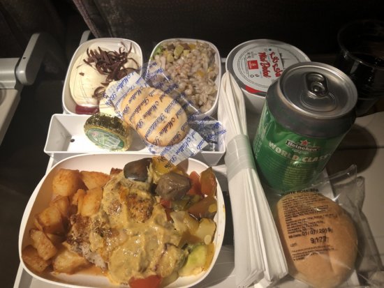 マルタ国際空港からエミレーツEmirates便でドバイ国際空港へ_機内食チキンストロガノフ