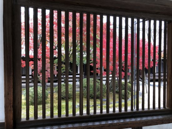 日帰り奈良観光_法隆寺_ラン窓からの紅葉
