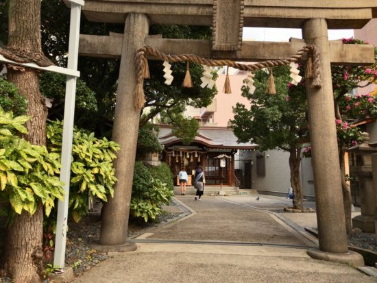 大阪サムハラ神社_鳥居からサムハラ神社本殿を見る