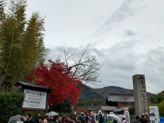 11月の京都嵐山_天龍寺入り口
