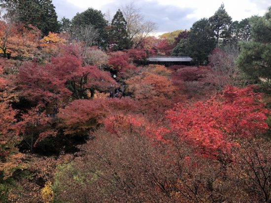 京都 東福寺_通天橋の紅葉風景