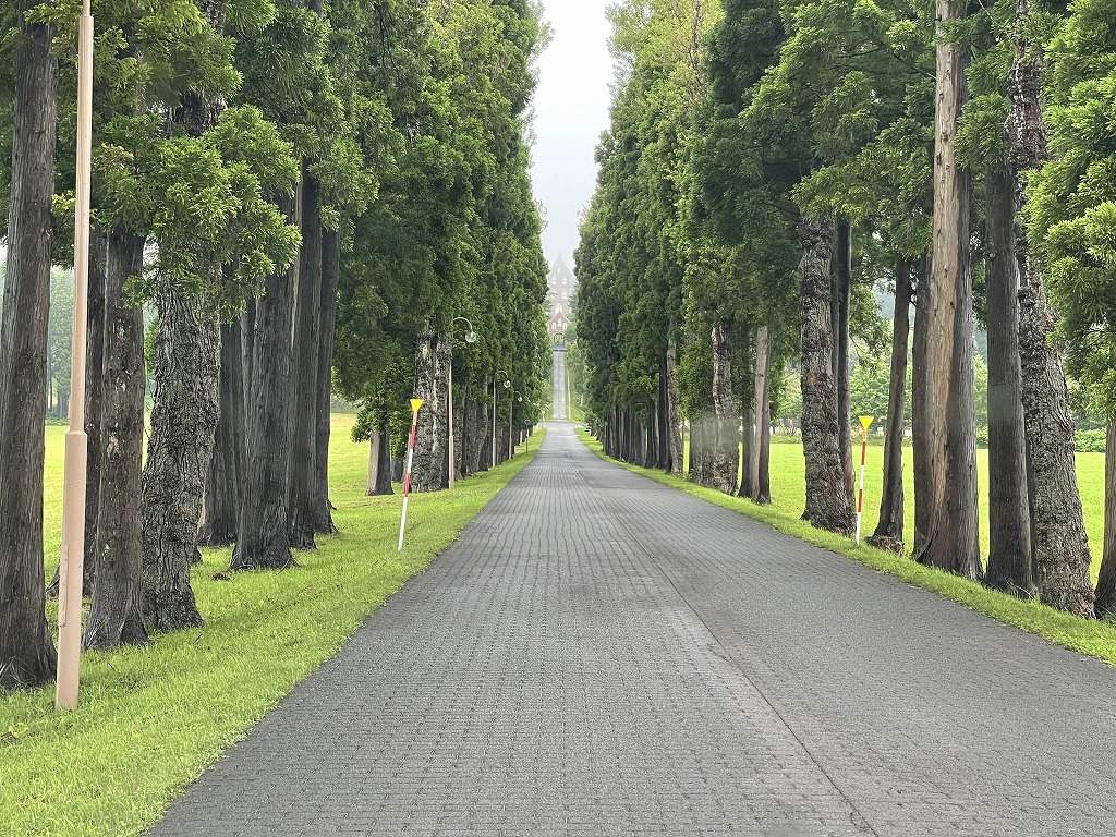 函館トラピスト修道院近くにある並木道
