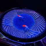 【台湾7日目】良友での天然石選び、海南飯店のチキンライス、鼎泰豊ディナー、101タワー展望台へ