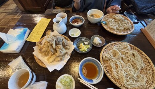 【戸隠そば うずら屋 訪問記】2時間待ちでも行く価値あり！食べログそば百名店の「ぼっち盛り」ときのこ天ぷらを正直レポート