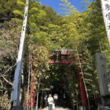 【来宮神社・三嶋大社 参拝記】熱海の大混雑パワースポットと三島の格式ある大社を1日でめぐった7日目レポート